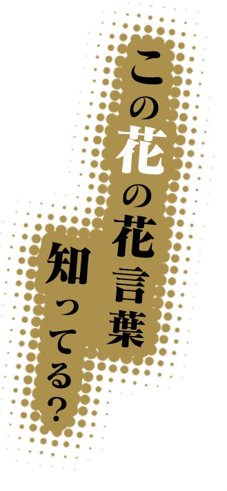 キャッチフレーズ