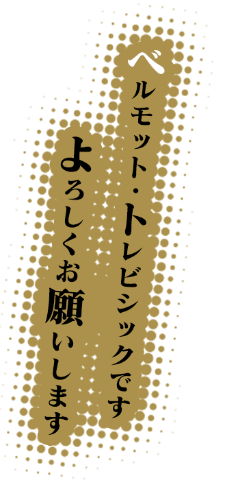 キャッチフレーズ